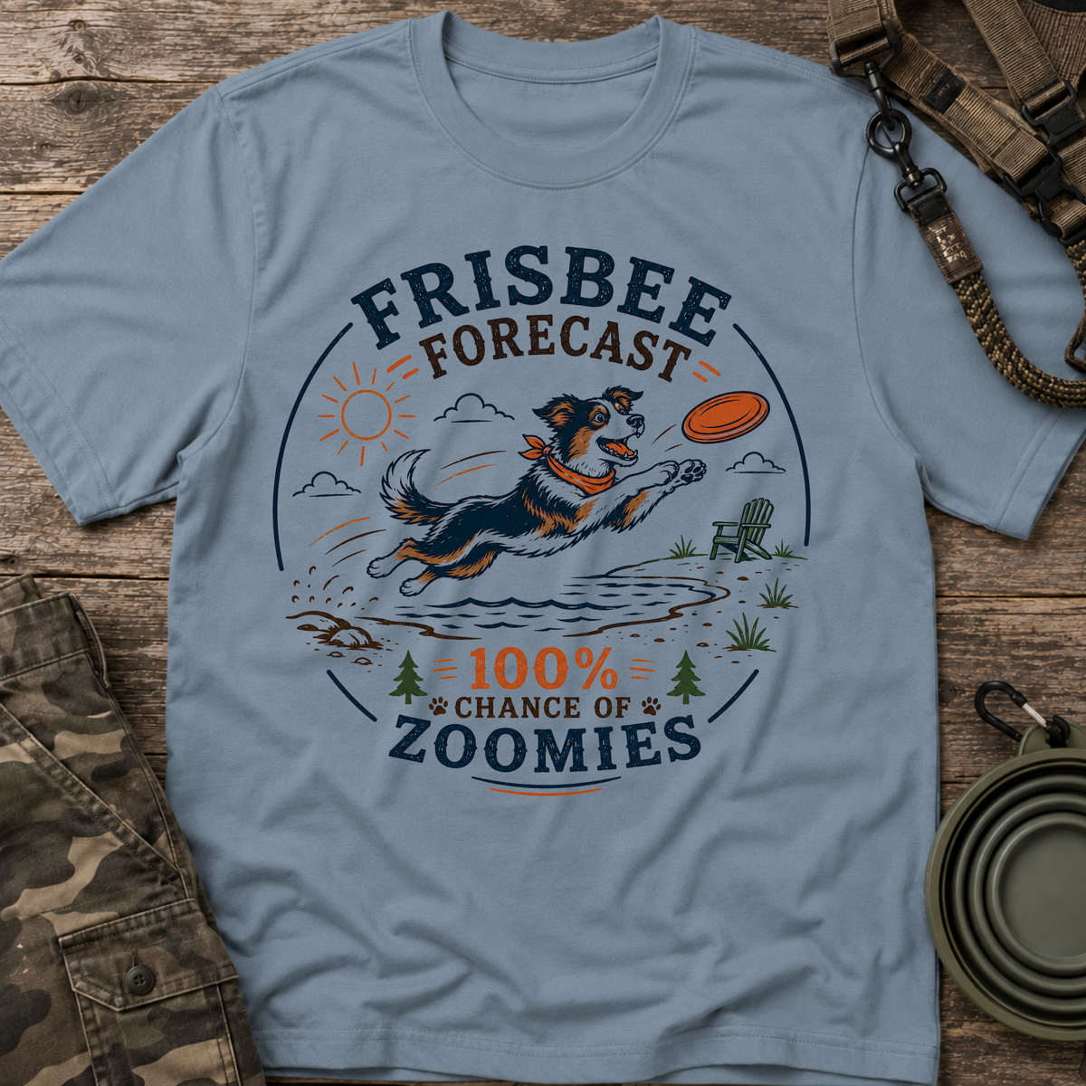 Frisbee Forecast