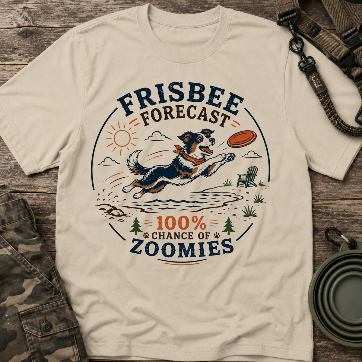 Frisbee Forecast