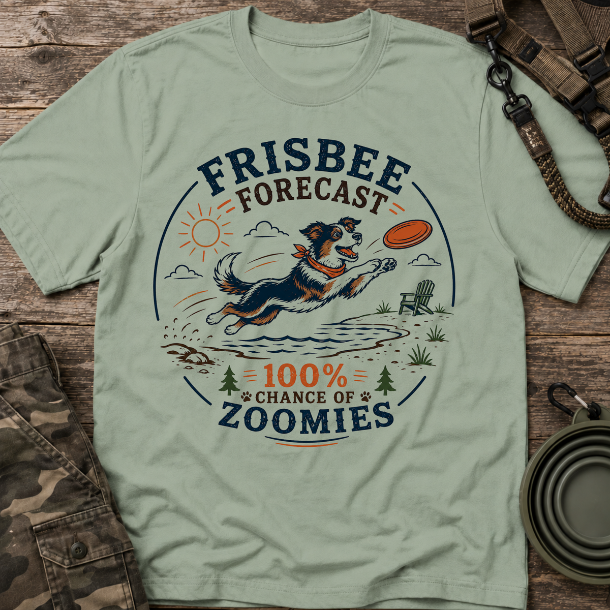 Frisbee Forecast