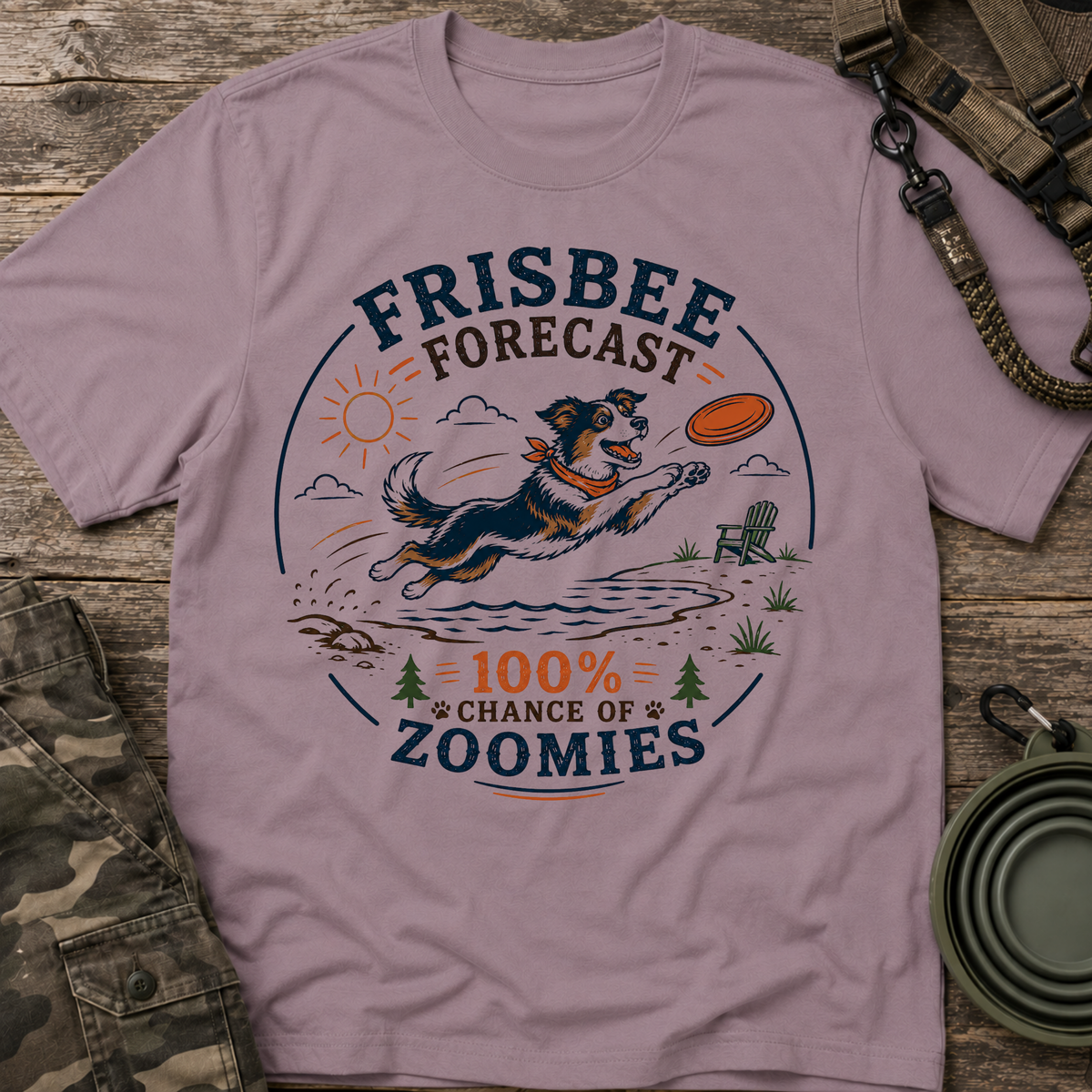 Frisbee Forecast