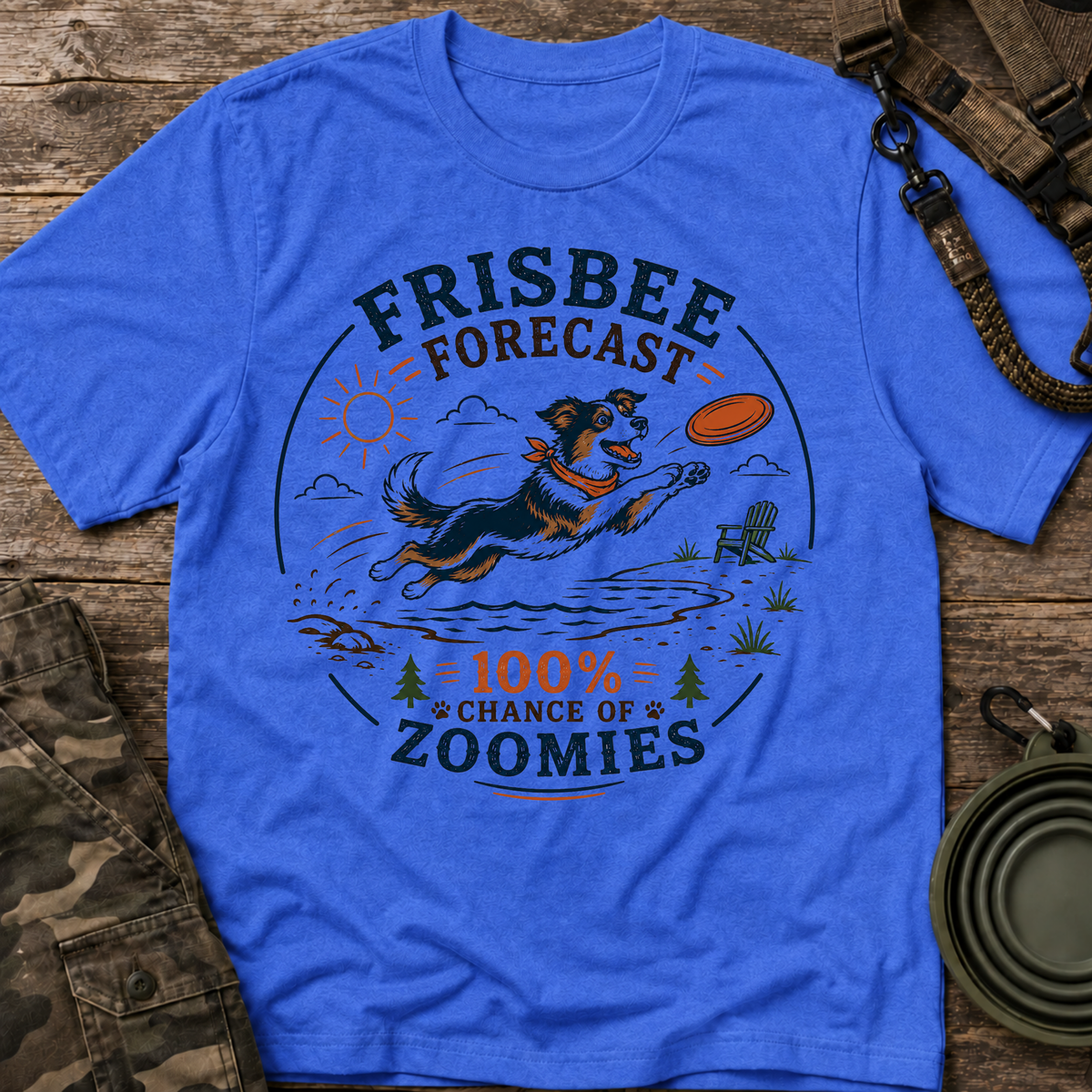 Frisbee Forecast