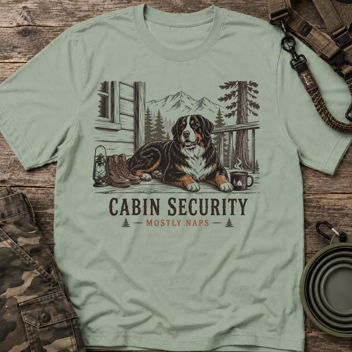 Cabin Security