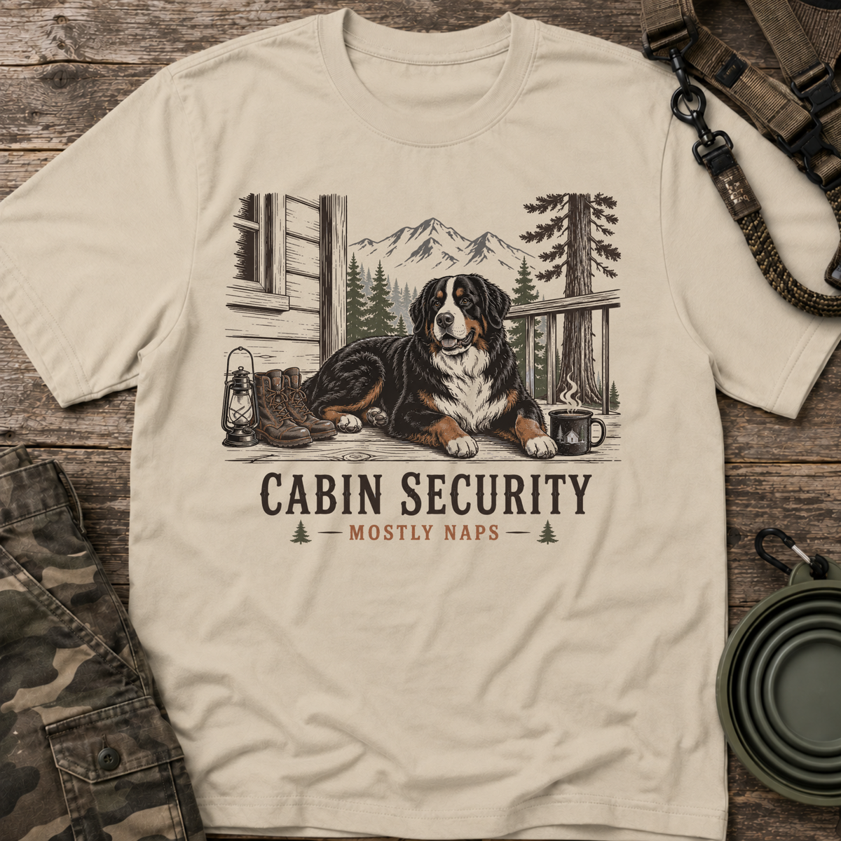 Cabin Security