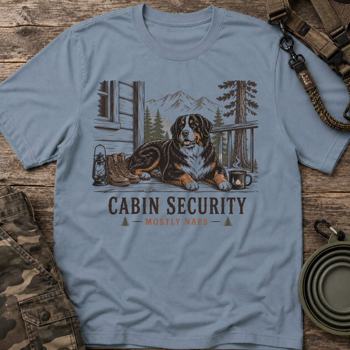 Cabin Security