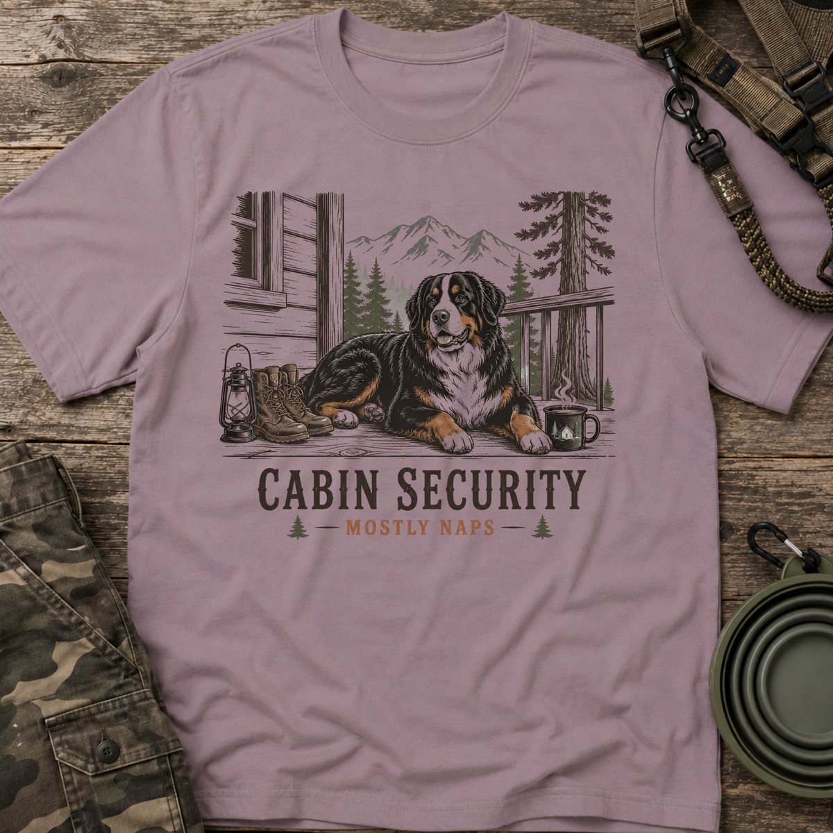 Cabin Security
