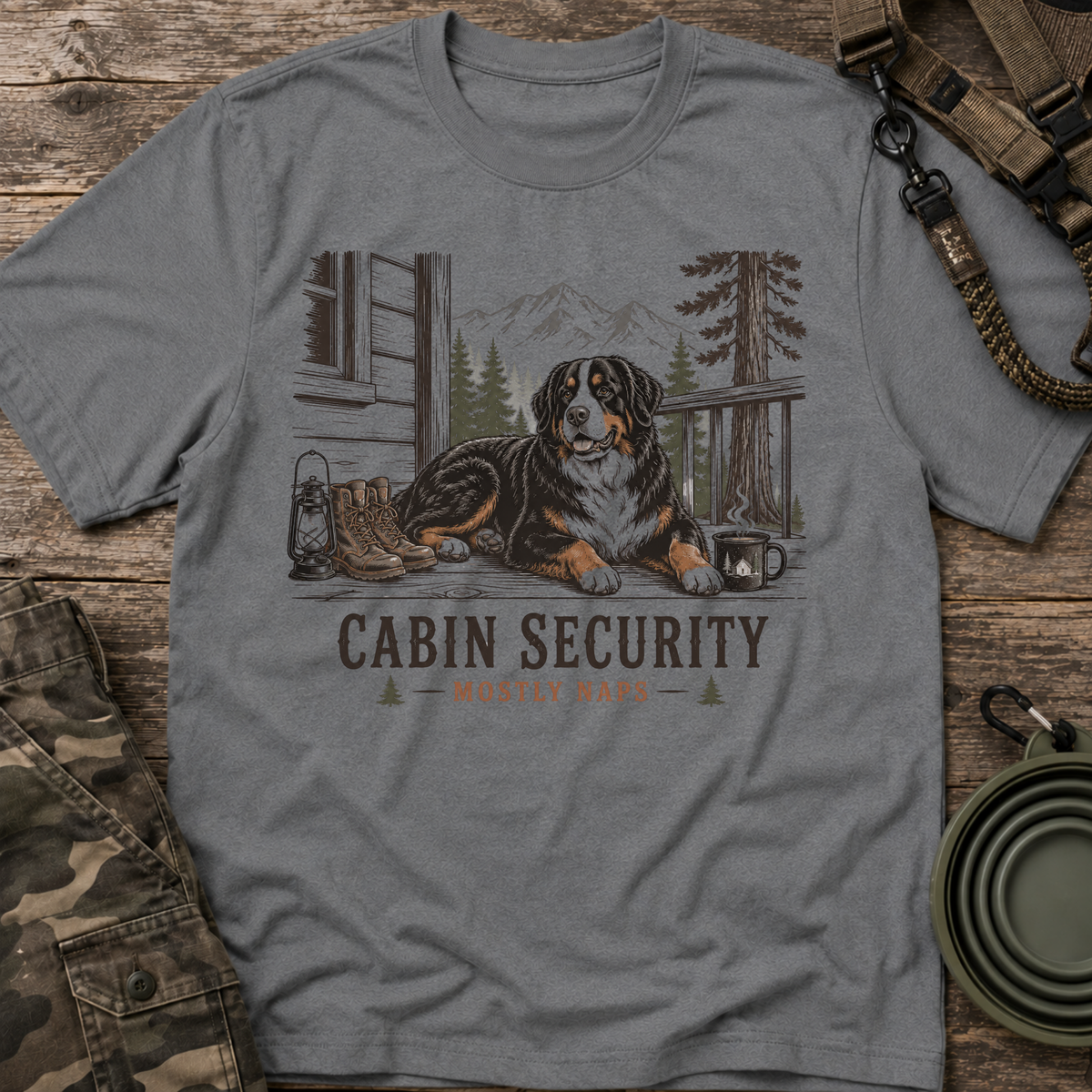 Cabin Security
