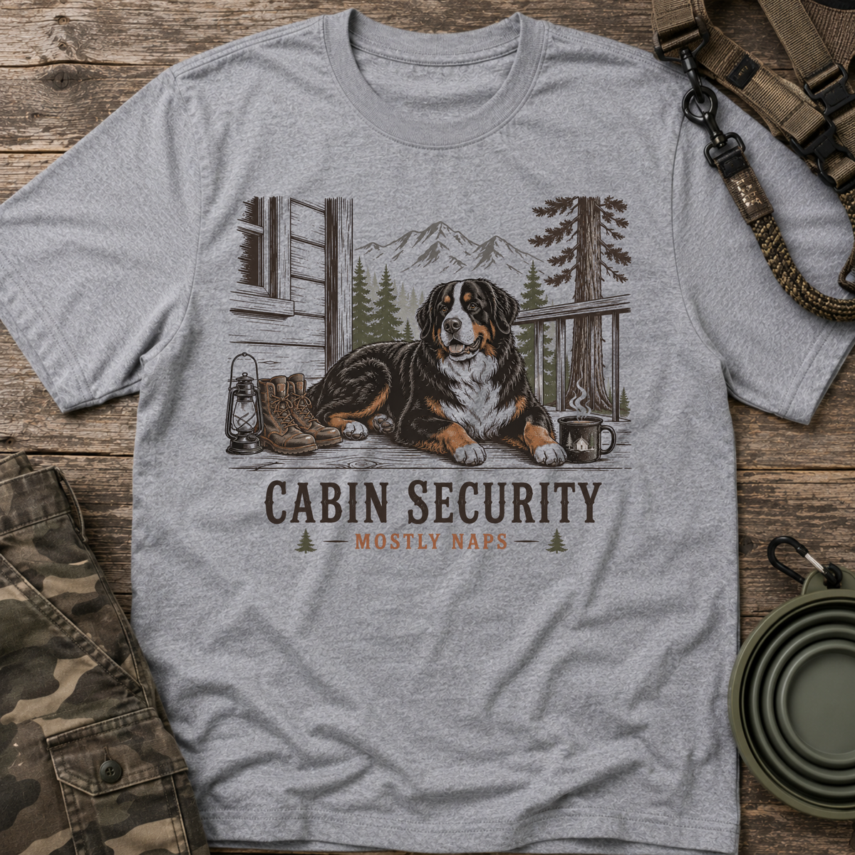 Cabin Security
