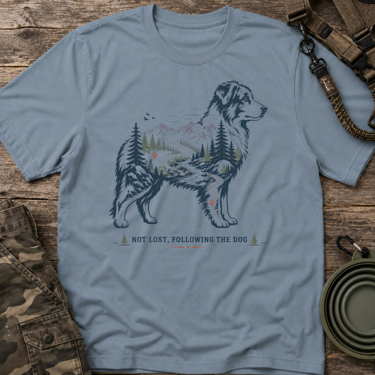 Not Lost, Following the Dog